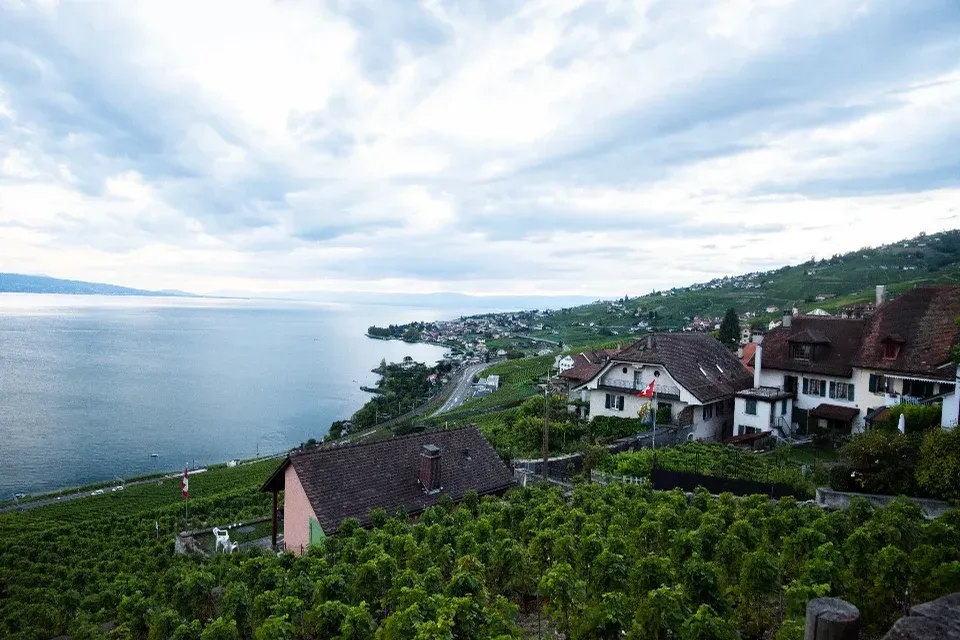 Terraced vineyards and houses above Lake Geneva, with a Swiss flag and the shoreline fading into the distance.